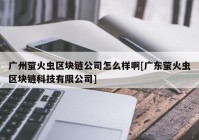 广州萤火虫区块链公司怎么样啊[广东萤火虫区块链科技有限公司]