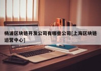 杨浦区块链开发公司有哪些公司[上海区块链运营中心]